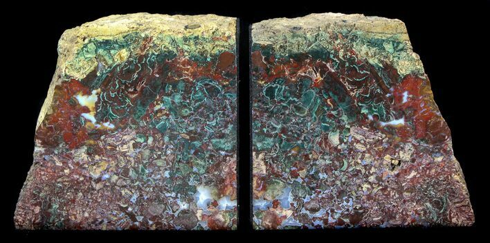 Jasper Replaced Petrified Wood Bookends - Oregon #36663